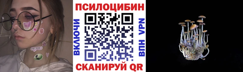 Псилоцибиновые грибы прущие грибы  Салехард 